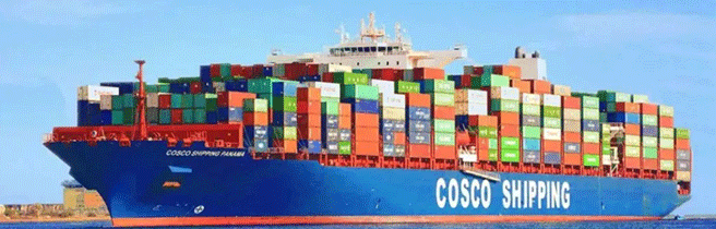 What are the common logistics problems in ocean fre